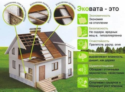 Эковата. Что такое эковата?