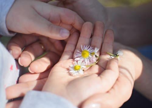 Мудрые советы мудрость жизни ценный опыт. Знания и опыт поколений: приметы и мудрые советы для жизни