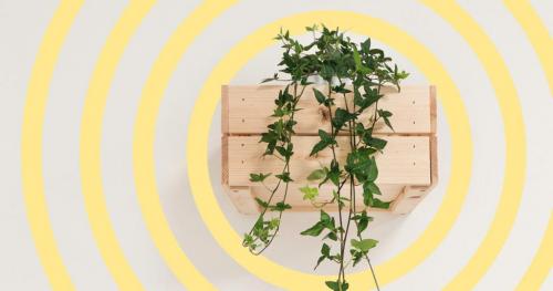 Неординарные мысли в психологии. Неординарное мышление — это хорошо или плохо? Тест на тип мышления