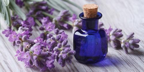 Как избавиться от запаха в обуви За 5 минут. Как избавиться от запаха в обуви народными средствами