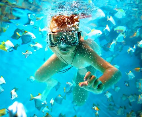 Как провести интересно время в интернете с пользой. 37 бесплатных сервисов, которые помогут вам проводить время в интернете с пользой