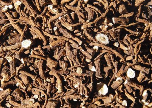 Лечение корнем лопуха одуванчика и пырея. Три корня лопуха, пырея и одуванчика