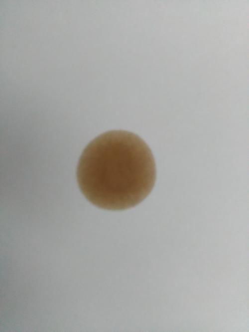 Ford Fusion "McCoy" › Бортжурнал › Анализ масла методом "масляного пятна". Размышления.