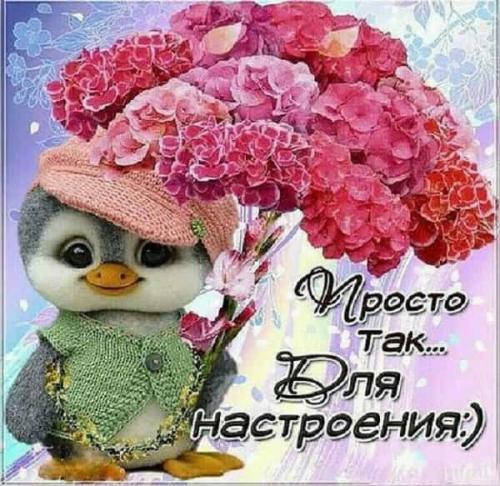 Всем доброе утро и хорошего настроения на целый день. Пожелания доброго утра и хорошего дня