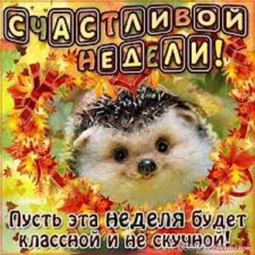 Всем доброе утро и хорошего настроения на целый день. Пожелания доброго утра и хорошего дня