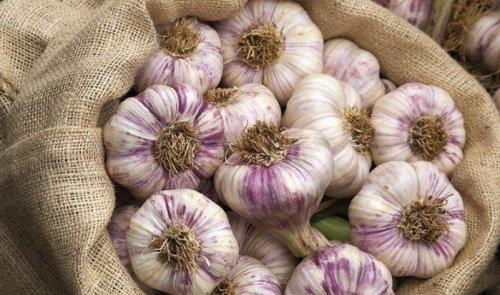 Лайфхак для дачников. ТОП 10 лайфхаков для огорода и сада: хорошего урожая!