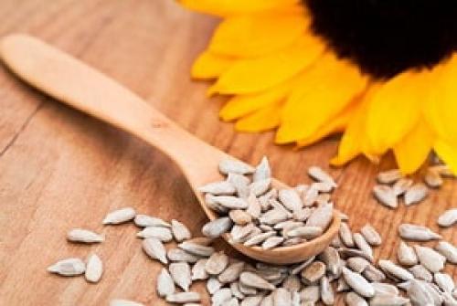 Халва без сахара калорийность. Все о калорийности халвы