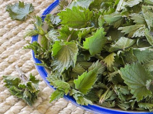 Лайфхак для дачников. ТОП 10 лайфхаков для огорода и сада: хорошего урожая!