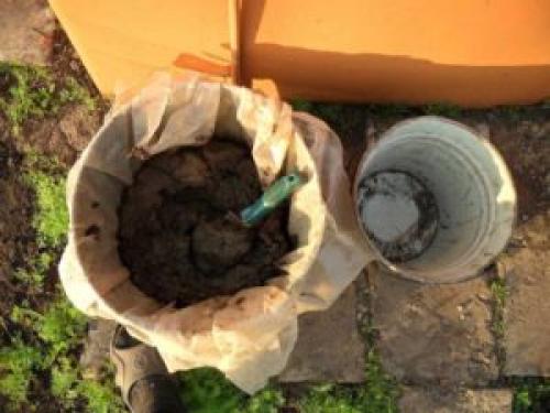 Флоксы подготовка к зиме. Особенности ухода за флоксами осенью и подготовки к зиме — общие советы и рекомендации
