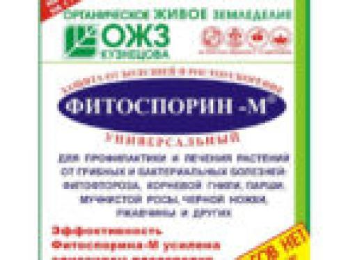 Подготовка лилейников к зиме. Уход за лилейниками осенью