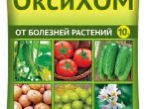 Подготовка лилейников к зиме. Уход за лилейниками осенью