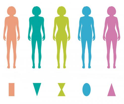 Какой тип женской фигуры считается самым красивым: мнения и факты 14 Какой тип женской фигуры считается самым красивым: мнения и факты 14