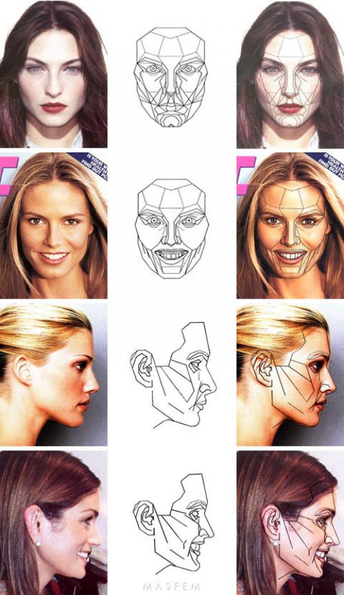 Как эти пропорции соотносятся с современными стандартами красоты. Идеальные пропорции лица и золотое сечение