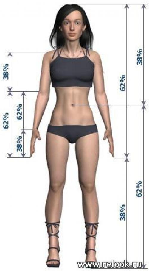 Ученые определили идеальные пропорции женской фигуры: что это значит 09 Ученые определили идеальные пропорции женской фигуры: что это значит 09