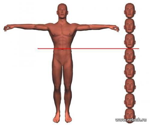 Ученые определили идеальные пропорции женской фигуры: что это значит 10 Ученые определили идеальные пропорции женской фигуры: что это значит 10