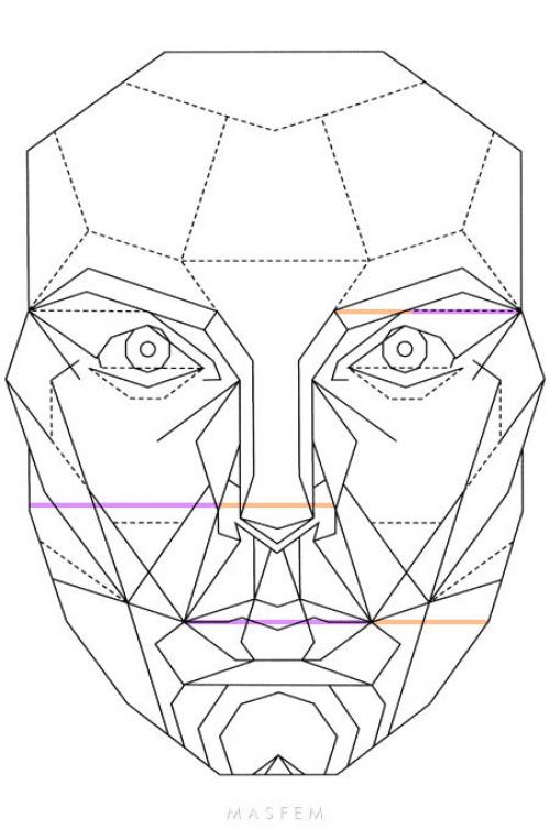 Как эти пропорции соотносятся с современными стандартами красоты. Идеальные пропорции лица и золотое сечение