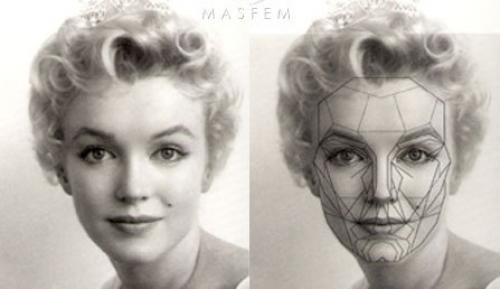 Как эти пропорции соотносятся с современными стандартами красоты. Идеальные пропорции лица и золотое сечение