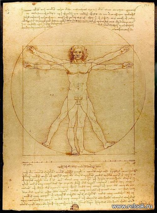 Ученые определили идеальные пропорции женской фигуры: что это значит 08 Ученые определили идеальные пропорции женской фигуры: что это значит 08