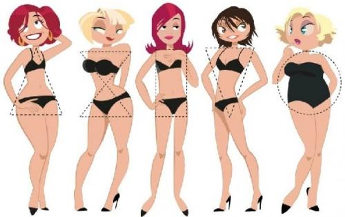 Как определить свои личные идеальные пропорции тела. Пропорции тела женщины