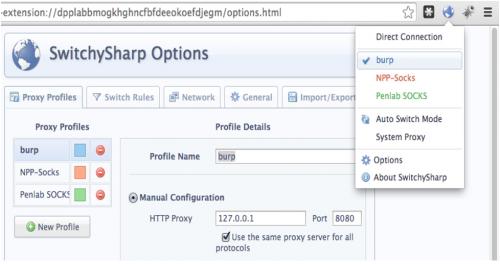 Настройка прокси в различных браузерах. Вводим данные в разных браузерах 12