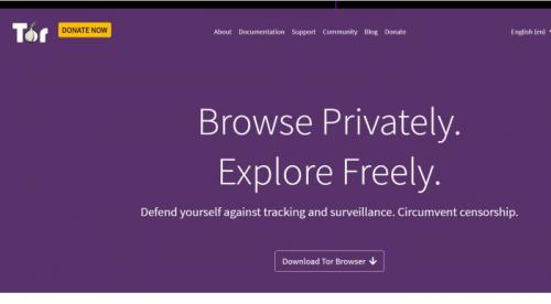 Индивидуальные прокси, как удобная альтернатива VPN. Какие альтернативы VPN существуют в мире