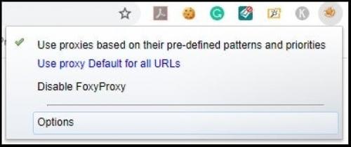 Foxyproxy chrome http Proxy. Foxyproxy 101: How to Set Up a Proxy in Foxyproxy