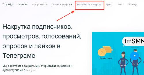 Накрутка подписчиков в Тик Ток через термукс. ТОП 8 сервисов для бесплатной накрутки лайков и просмотров в Тик Ток