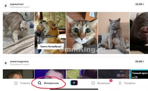 Реклама в Тик-Ток 2022. Как раскрутить Тик Ток в 2022 году