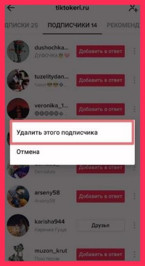 Как часто следует использовать TikTok Follow Bot. Подписчики и боты в Тик Токе: как удалить?