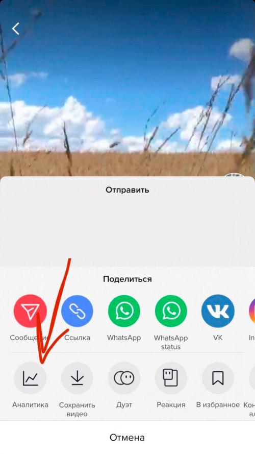 Какие инструменты могут помочь мне лучше отслеживать и анализировать мои результаты на TikTok в 2024 году. Статистика и аналитика любого профиля в TikTok
