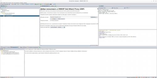 Какие инструменты и сервисы рекомендуются для веб-сканирования. OWASP ZAP