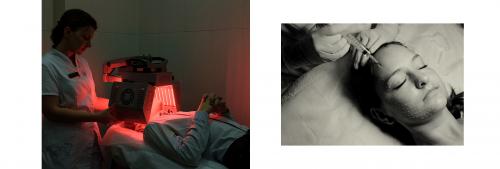 Специалист рассказал о том, как поддержать здоровье своего питомца 02