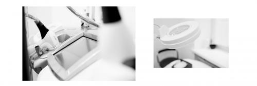 Специалист рассказал о том, как поддержать здоровье своего питомца 01