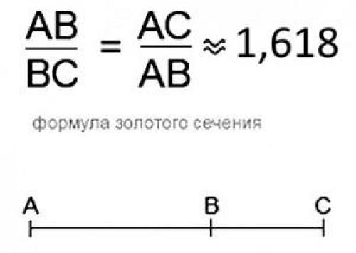 Есть ли у мужчин идеальные пропорции фигуры. Золотое сечение и телосложение