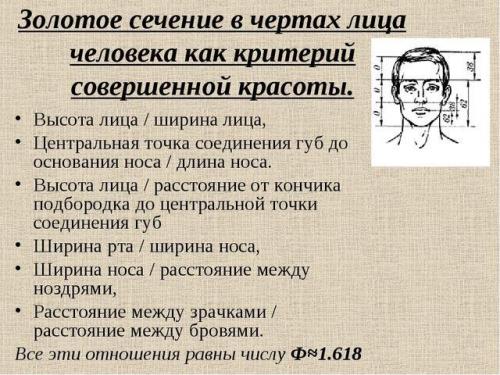 Есть ли у мужчин идеальные пропорции фигуры. Золотое сечение и телосложение