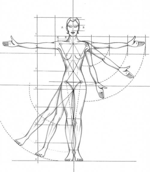 В чем разница между здоровой фигурой и идеальной фигурой. Вступление
