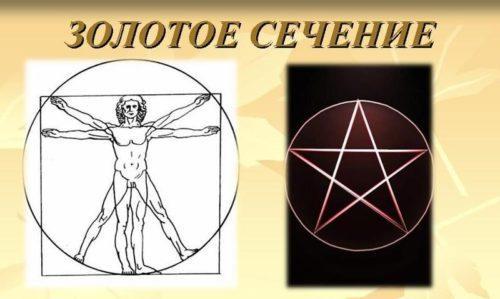 Есть ли у мужчин идеальные пропорции фигуры. Золотое сечение и телосложение