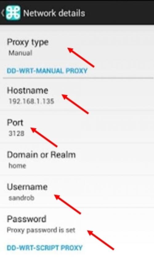 Как изменить прокси-сервер на Своем компьютере. Особенности применения proxy 03 Как изменить прокси-сервер на Своем компьютере. Особенности применения proxy 03