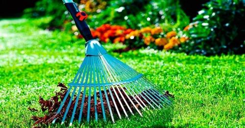 Как выбрать оптимальный инструмент для высадки растений и ухода за садом. Какие садовые инструменты нужны каждому огороднику