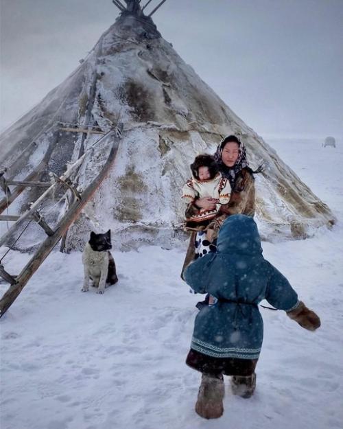 Непростые будни семьи оленеводов Ямала в очень искренних и самобытных кадрах фотографа Елены Шумиловой. 03