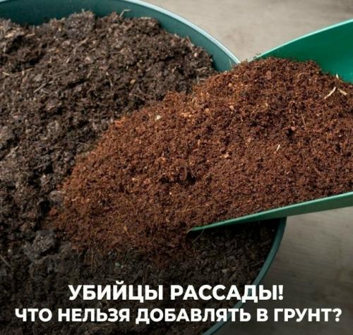 Убийцы paccaды.  Что нельзя добавлять в грунт? 

