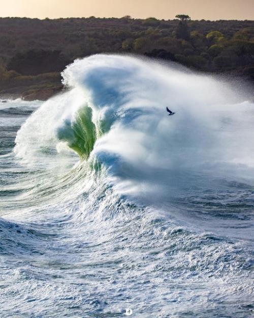 Фотографии с ароматом морского бриза от фотографа Ronan Follic. 06