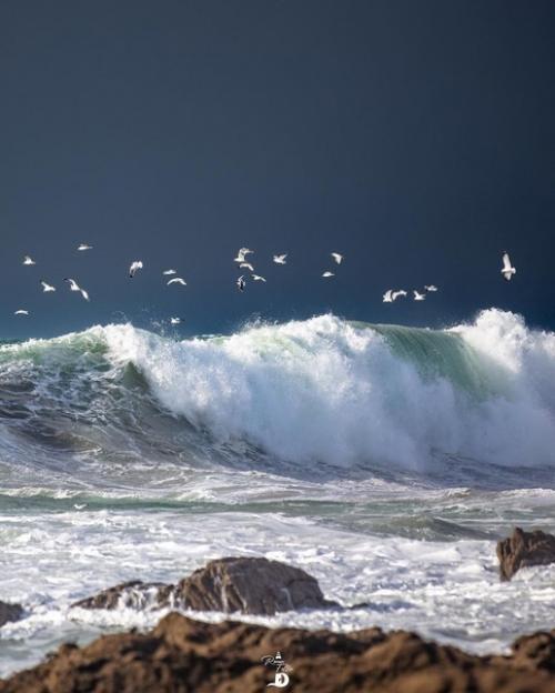 Фотографии с ароматом морского бриза от фотографа Ronan Follic. 01