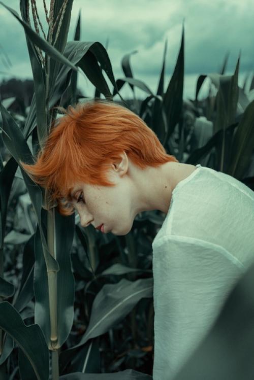 Кадры из какого фильма вам напоминает этот фотосет? 05