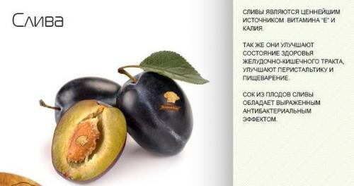 Полезные свойства осенних плодов. 02