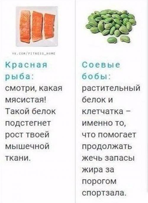Идеальные продукты для тех, кто занимается в спортом. 02