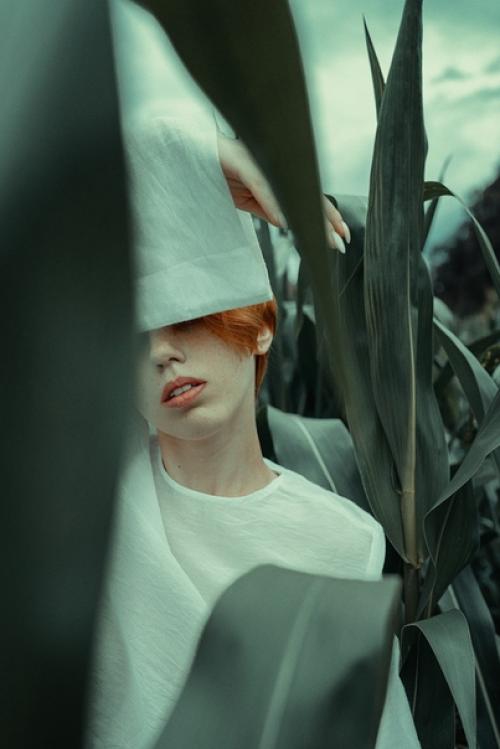 Кадры из какого фильма вам напоминает этот фотосет? 03