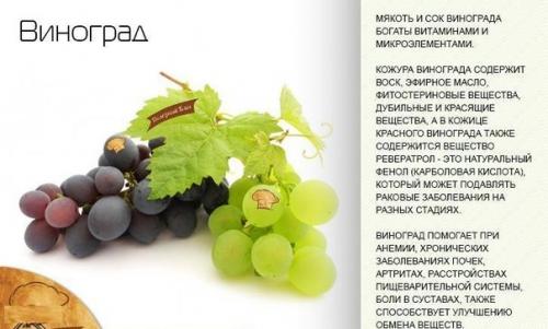 Полезные свойства осенних плодов. 01