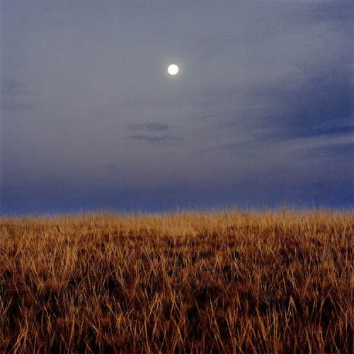 - Почему Райан Росс так похож на каждого из нас: 03 - Почему Райан Росс так похож на каждого из нас: 03