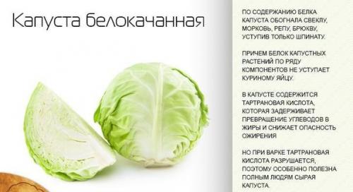 Полезные свойства осенних плодов. 07